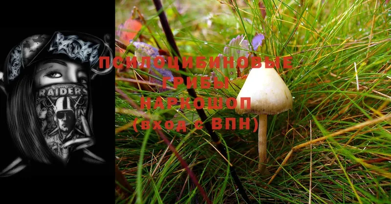 Псилоцибиновые грибы MAGIC MUSHROOMS  Татарск 